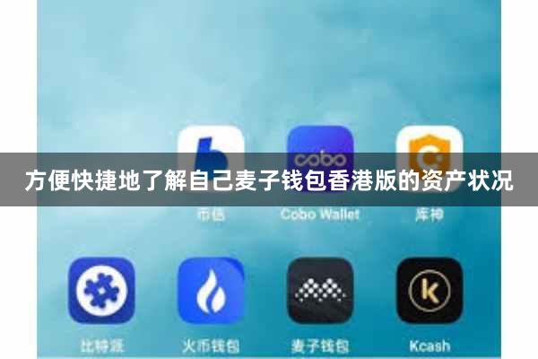 方便快捷地了解自己麦子钱包香港版的资产状况