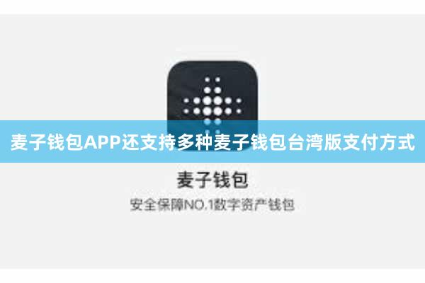 麦子钱包APP还支持多种麦子钱包台湾版支付方式