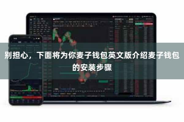 别担心，下面将为你麦子钱包英文版介绍麦子钱包的安装步骤