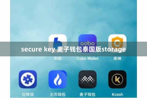 secure key 麦子钱包泰国版storage