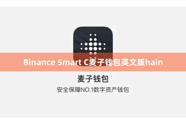 Binance Smart C麦子钱包英文版hain