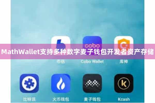 MathWallet支持多种数字麦子钱包开发者资产存储