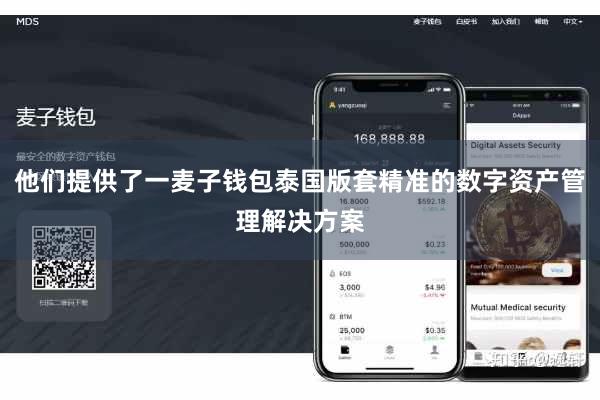 他们提供了一麦子钱包泰国版套精准的数字资产管理解决方案