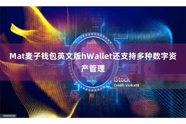 Mat麦子钱包英文版hWallet还支持多种数字资产管理